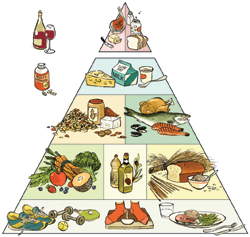 Balanced Diet Pyramid – Ideas to Select a Healthy Combination of ...