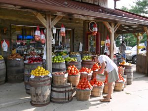 Cheap Organic Grocery at Farmer's Market