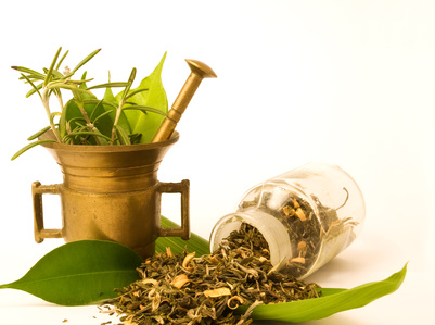Herb Pictures - alternative to over-the-counter medicines