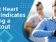 What heart rate indicates during a workout